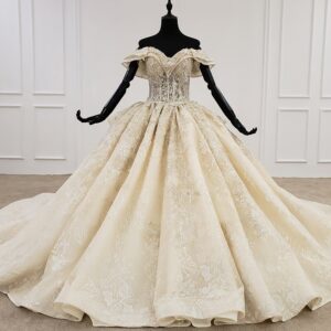 プリンセスライン　フォトジェニックを求める花嫁に　オフショルダードレス　ウェディングドレス