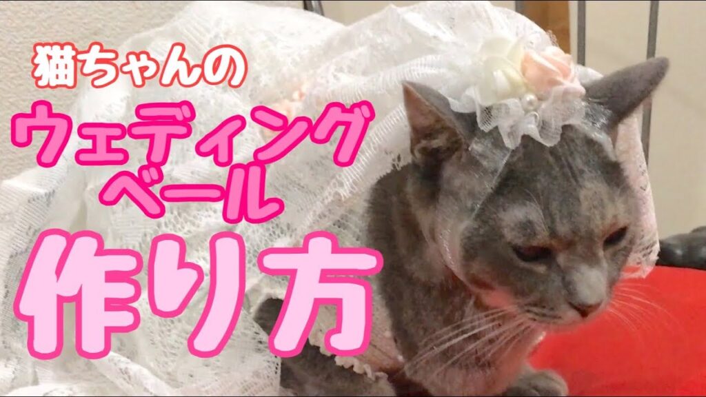 猫ちゃんのウェディングベールの作り方（頭飾り）【作ってみよう/ DIY 】